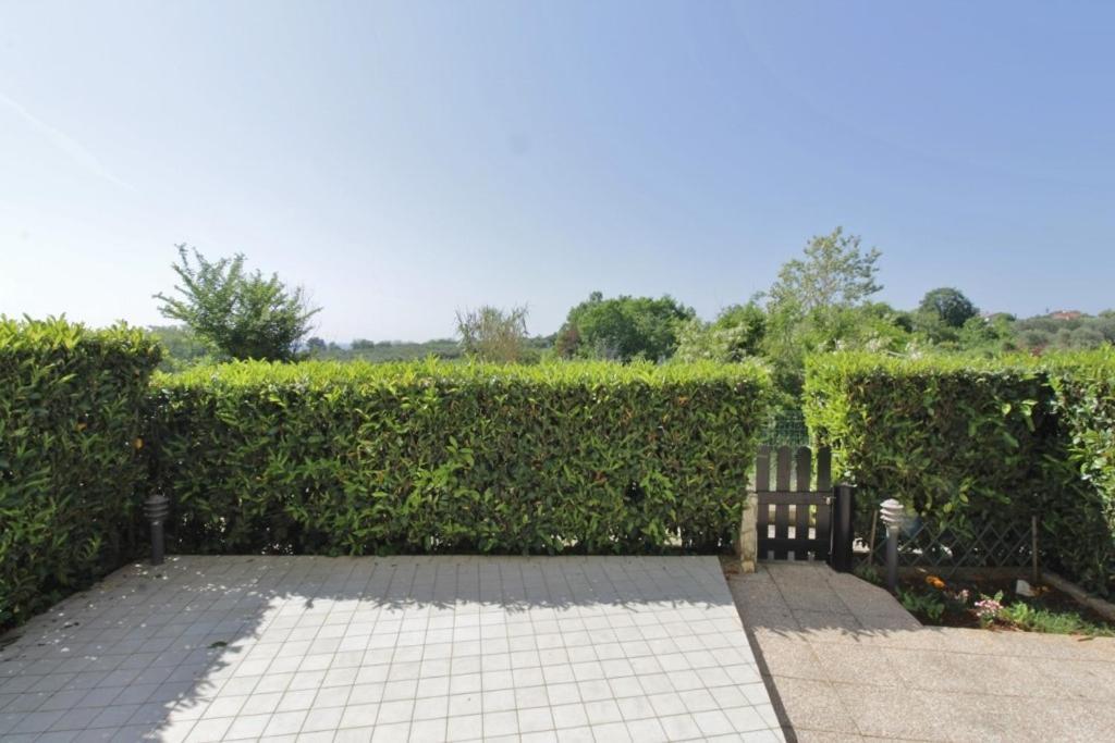 Biljana Apartamento Savudrija Exterior foto